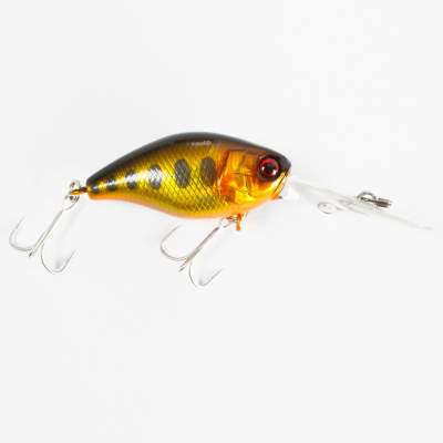 Illex Deep Diving Chubby 38 Crankbait 3,8cm - HL Gold Trout - 4,7g - 1Stück