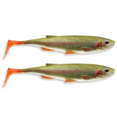 Daiwa Duckfin Live 20cm l. rainb. tr. 20cm - l.rainb.tr. - 2Stück