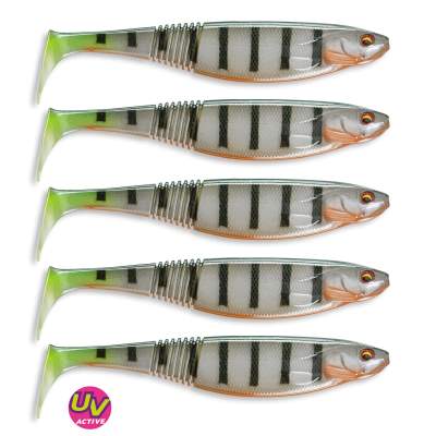 Daiwa Prorex Classic Shad 100DF ZB GP 10cm - ghost perch - 5Stück