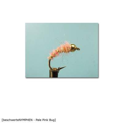 X-Version Fly Beschwerte Nymphe PALE PINK BUG 12 Gr.12 - 1Stück - 72