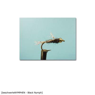 X-Version Fly Beschwerte Nymphe BLACK NYMPH 12 Gr.12 - 1Stück - 73