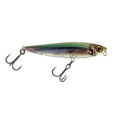 Illex Chubby Pencil 55 - Stickbait RT Bleak - 5,5cm - 3,1g - 1 Stück