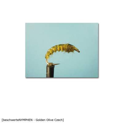 X-Version Fly Beschwerte Nymphe GOLDEN OLIVE CZECH  10 Gr.10 - 1Stück - 66