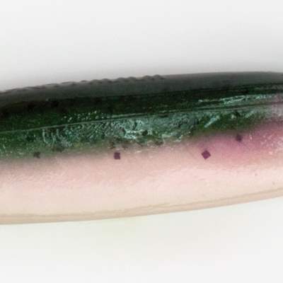 Lunker City Shaker 4,5 RT Rainbow Trout - 11cm - 8 Stück