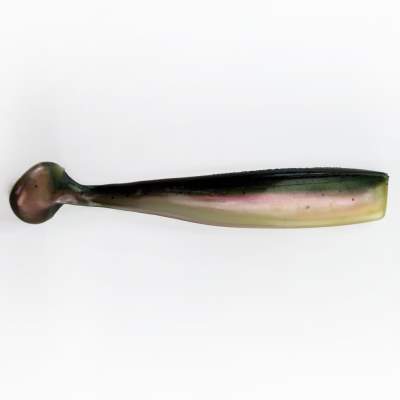 Lunker City Shaker 6,0 RT, 16cm - Rainbow Trout - 5Stück