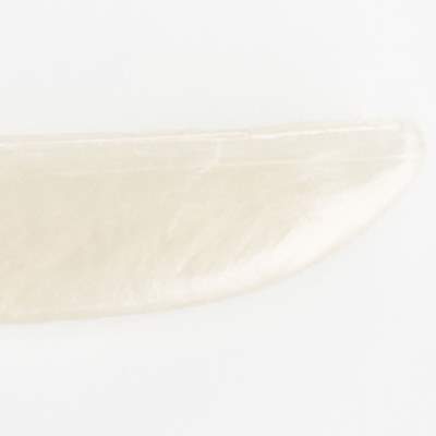 Lunker City Fin-S Fish 4,0 AFT 10cm - Albino Firetail - 8Stück