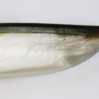 Lunker City Fin-S Fish 7,0 AS 17,5cm - Arkansas Shiner  - 5Stück