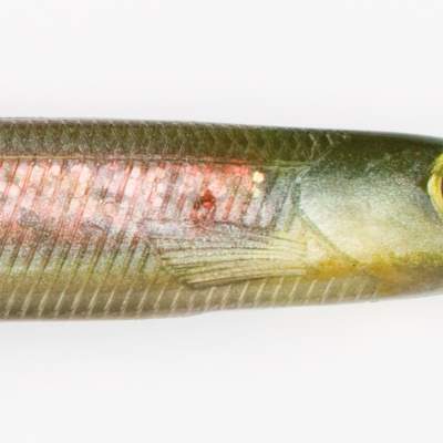 Nories Spoon Tail Shad 4,5 ST07 Pink Ayu - 11,4cm - 6 Stück