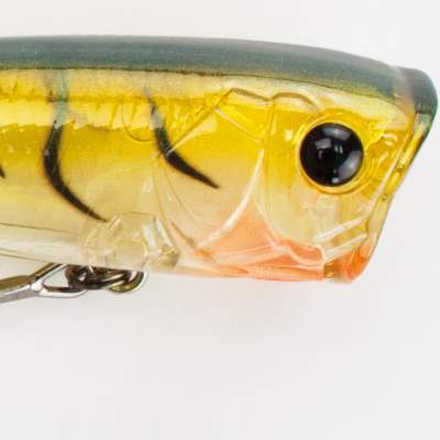 Ecogear PP 65F Popper 392 8,0g - Brown Craw (392) - 6,5cm - 1 Stück