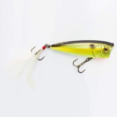 Ecogear PP 65F Popper 543, - 8,0g - Green Shiner (543) - 6,5cm - 1 Stück