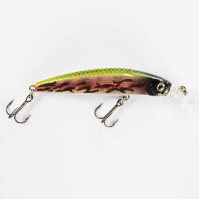 Senshu Braincrenk Minnow 78 Rising Trout, - 7,8cm - rising trout - 4g - 1Stück