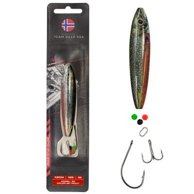 Team Deep Sea CoastStar Inline S2 - Meerforellenblinker 18g - SP Trout