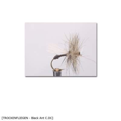 X-Version Fly Trockenfliege BLACK ANT C.DC 14 Gr.14 - 1Stück - 24
