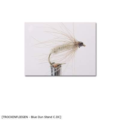 X-Version Fly Trockenfliege BLUE DUN Stand.C.DC 14, - Gr.14 - 1Stück - 25