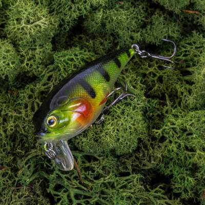 Viper Pro Grumpy Goby, 5,5cm - Perch - 9g - 1Stück