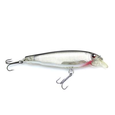 Silver Flash Minnow