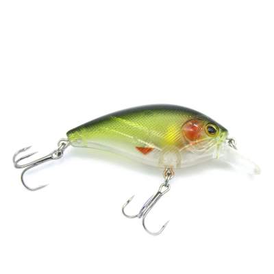 Viper Pro Fat Belly 6,0cm Green Roach, 6cm - Green Roach - 11g - 1Stück