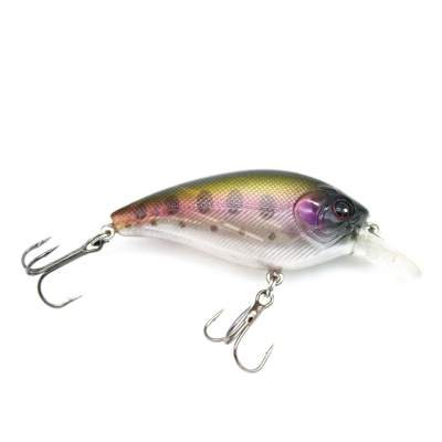 Viper Pro Fat Belly 6,0cm Rainbow Trout 6cm - Rainbow Trout - 11g - 1Stück
