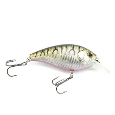 Viper Pro Fat Belly 6,0cm Peanut Perch 6cm - Peanut Perch - 11g - 1Stück