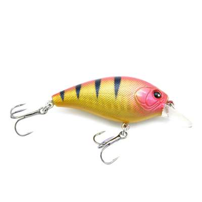 Viper Pro Fat Belly 6,0cm Hokaido, 6cm - Hokaido - 11g - 1Stück