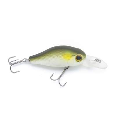 Viper Pro Fat Belly DD 5,5cm Old Bee, 5,5cm - Old Bee - 12g - 1Stück