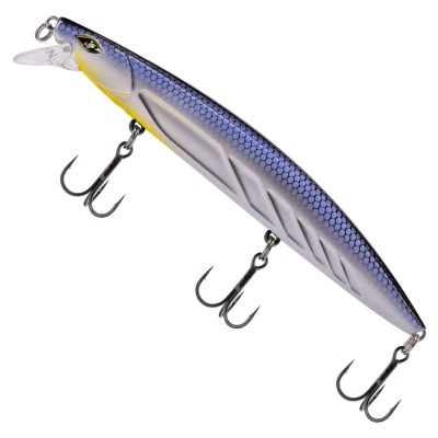 White Fish