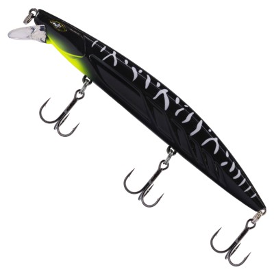 Black Striper