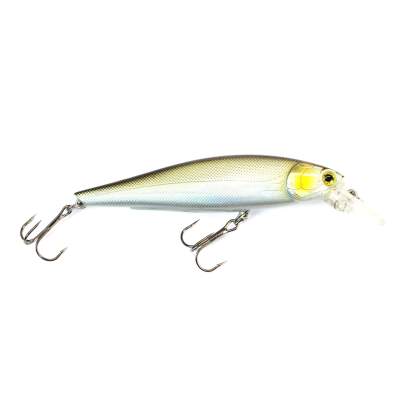 Viper Pro Rolling Shad 10,0cm Green Back,