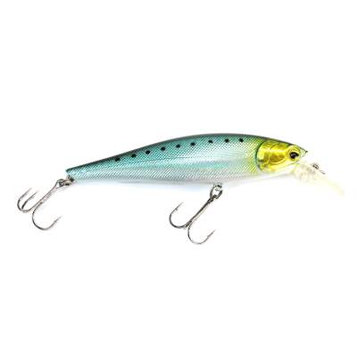 Viper Pro Rolling Shad 10,0cm Hasu