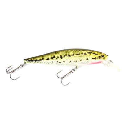 Viper Pro Rolling Shad 10,0cm Crappie