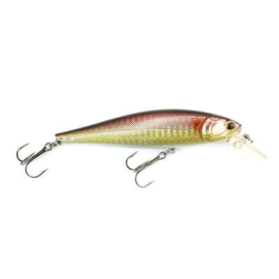 Viper Pro Rolling Shad 10,0cm Amazonas,