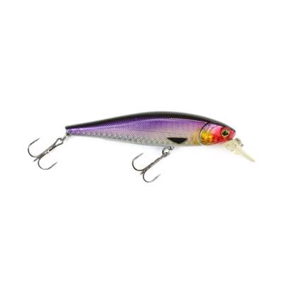 Viper Pro Rolling Shad 10,0cm Purple Queen,