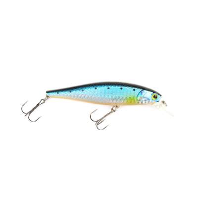 Viper Pro Rolling Shad 10,0cm Sardine Orange Belly,