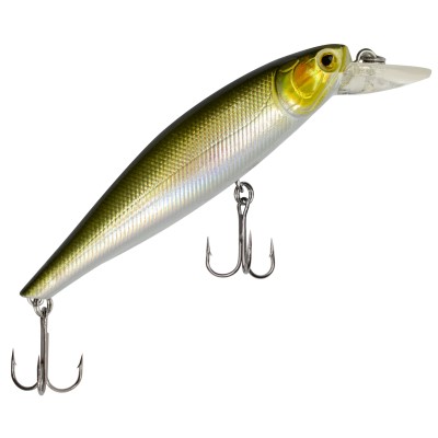 Green Minnow