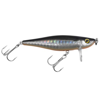 Silver Flash Minnow