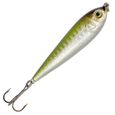 green/silver sprat