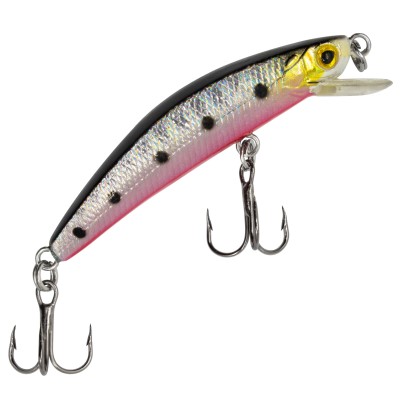 Silver Pink Sardine