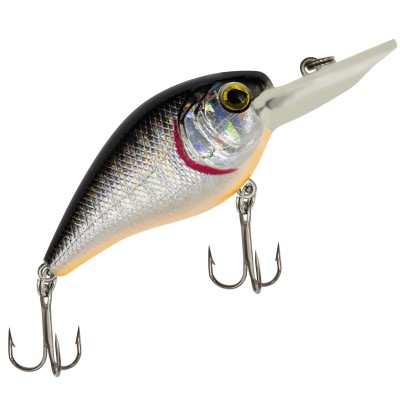 Silver Flash Minnow