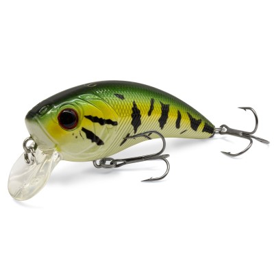 Snakehead