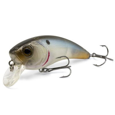 Natural Shad