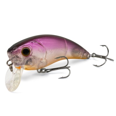 Purple Shad