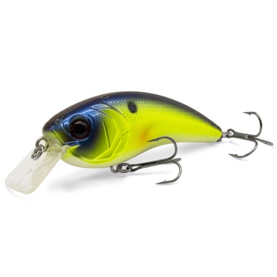 Electric Chartreuse