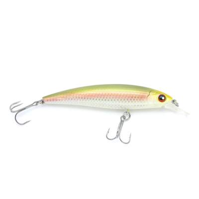 Viper Pro Shak´n Roll Jr., 10cm - Crazy Rainbow - 14,5g - 1Stück