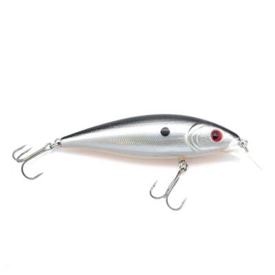 Silver Flash Minnow