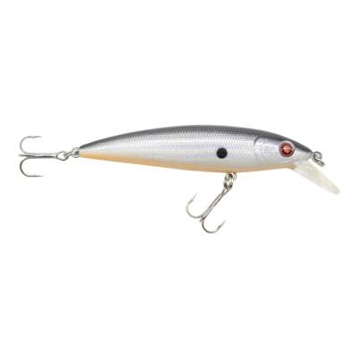 Silver Flash Minnow