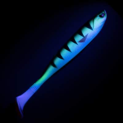 Senshu OG Shad - Gummifisch 12,5cm - Lime Perch - 10g - 1 Stück