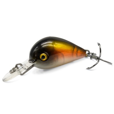 Craw