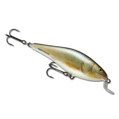 Salmo Executor Shallow Runner 120 RR, - 12cm - RR - 33g - 1Stück