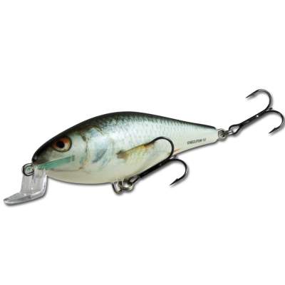 Salmo Executor Shallow Runner 120 RR, - 12cm - RR - 33g - 1Stück