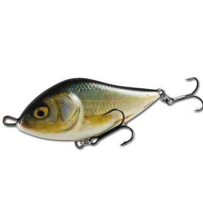 Salmo Slider Sinking 10 RR 10cm - RR - 46g - 1Stück